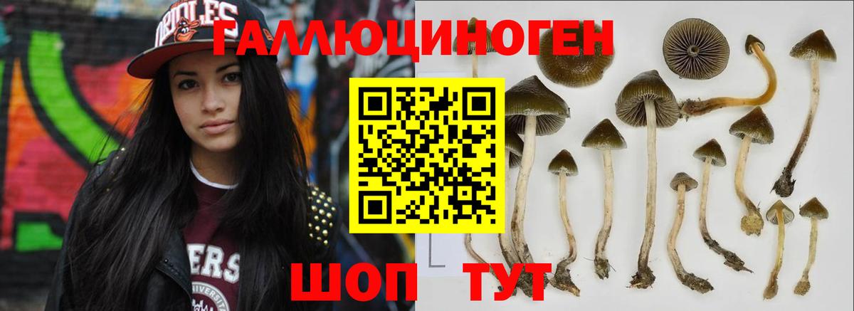 Псилоцибиновые грибы Cubensis  наркошоп  Ишимбай  Вход с VPN  Псилоцибиновые грибы Magic Shrooms 